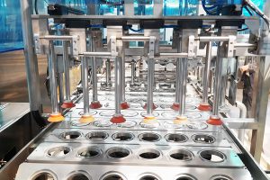 Linear Chain Ayran Filling Machine- Pallet-Based Ayran Filling Machine